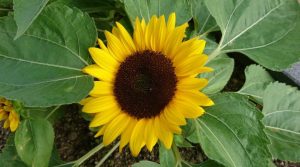 初心に帰る夏の終わり