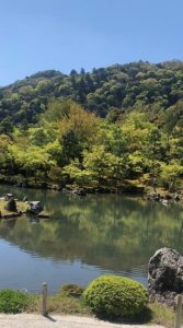 税理士事務所で2番目に忙しい時期がきました(^^♪