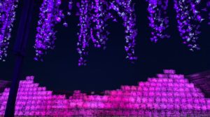 Go Toトラベル!!!