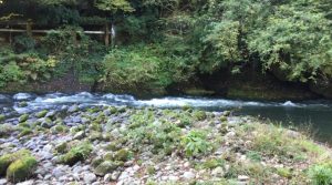 確定申告って何(*_*;