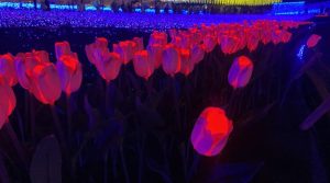 まん延防止措置と緊急事態宣言の違い