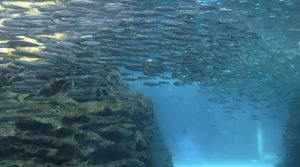 税務調査=粗探し?