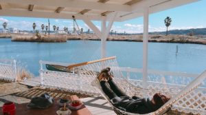 就職活動のIT化