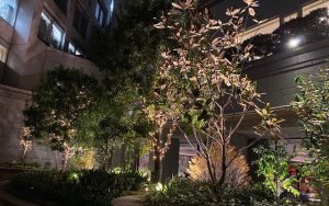 事業再構築補助金について(^^)/