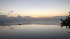 今年もよろしくお願いします!