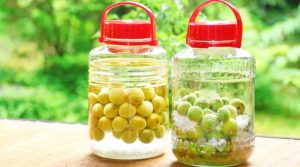 梅酒は家で作っちゃダメ?