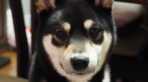 等価交換の原則を守って💸